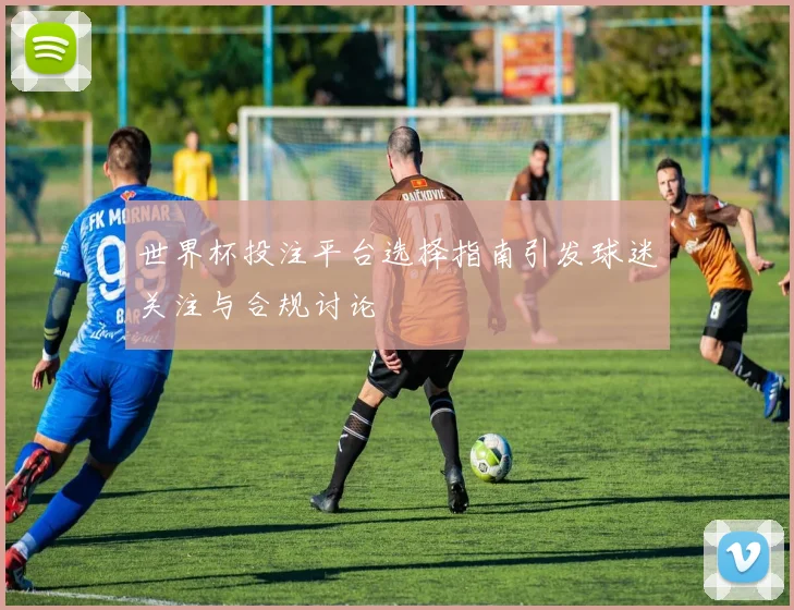 世界杯投注平台选择指南引发球迷关注与合规讨论